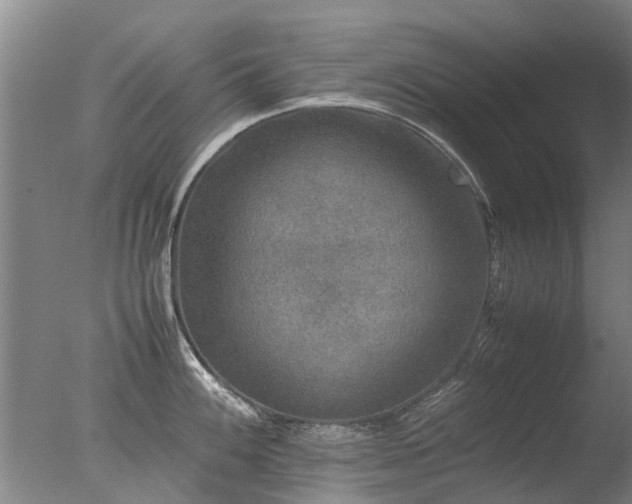 X0000078021100200610271227