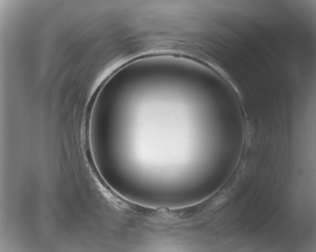 X0000078021101200610271227