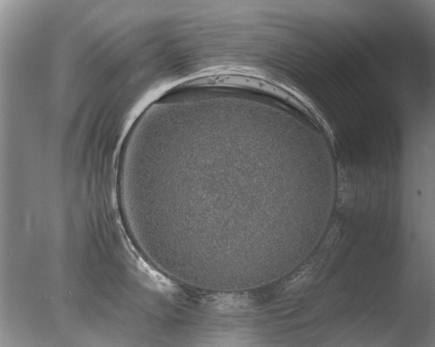 X0000078021102200610271227