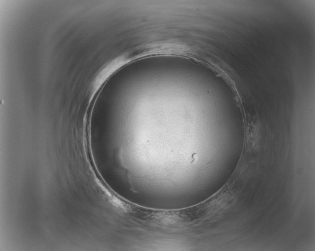 X0000078021103200610271227