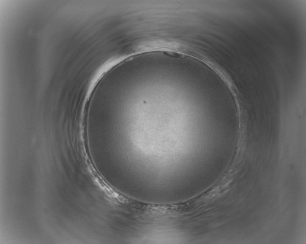 X0000078021104200610271227