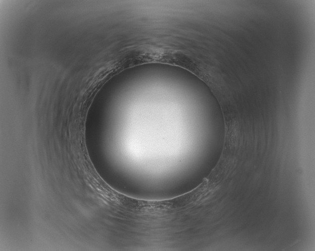 X0000078021105200610271226