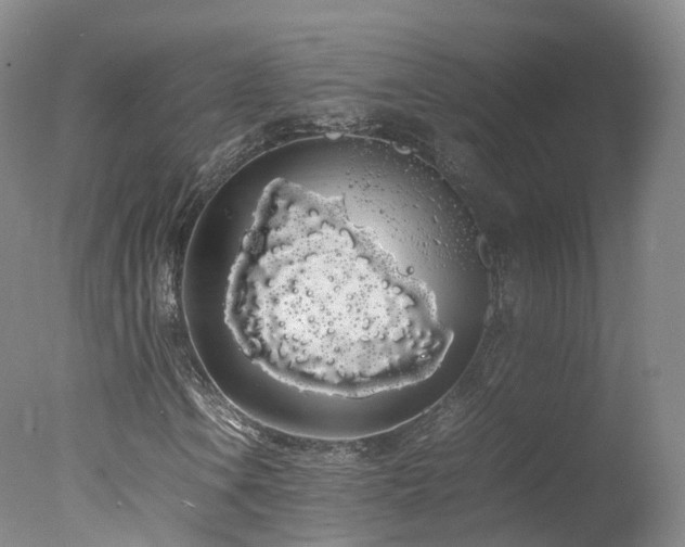 X0000078021106200610271226