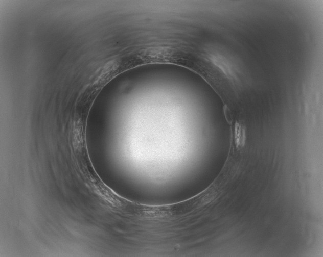 X0000078021107200610271226