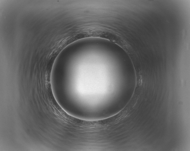 X0000078021108200610271226