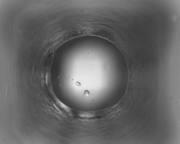 X0000078021109200610271226