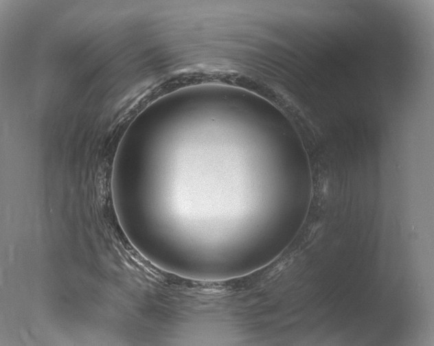 X0000078021110200610271226