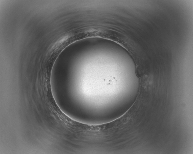 X0000078021111200610271226