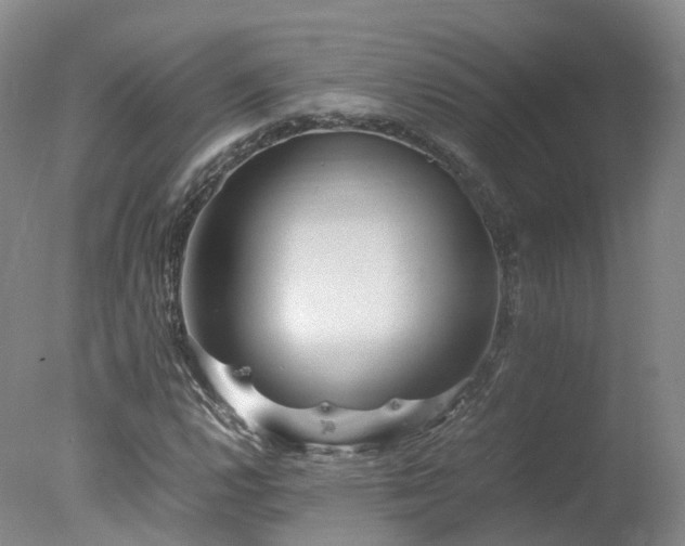 X0000078021112200610271226