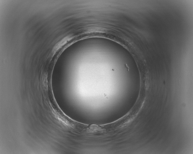 X0000078021113200610271226