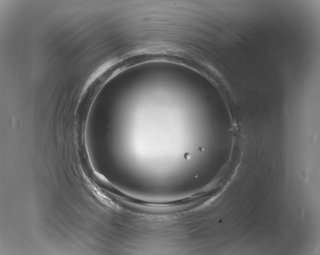 X0000078021114200610271226