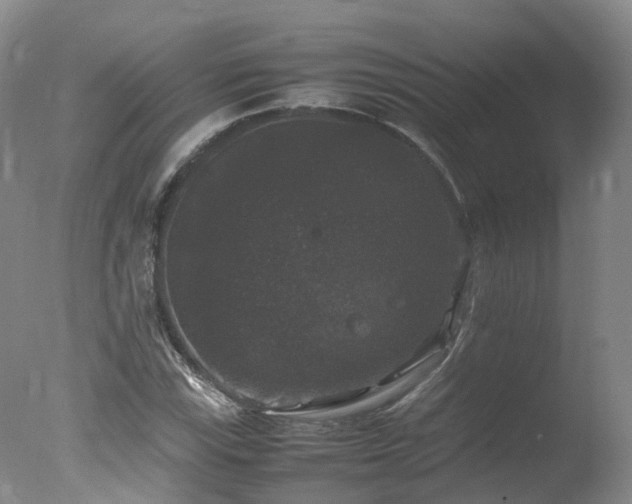 X0000078021115200610271227