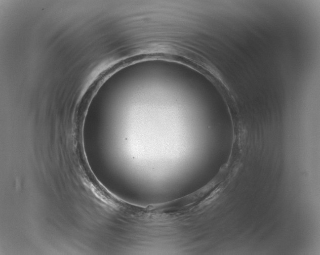 X0000078021116200610271227