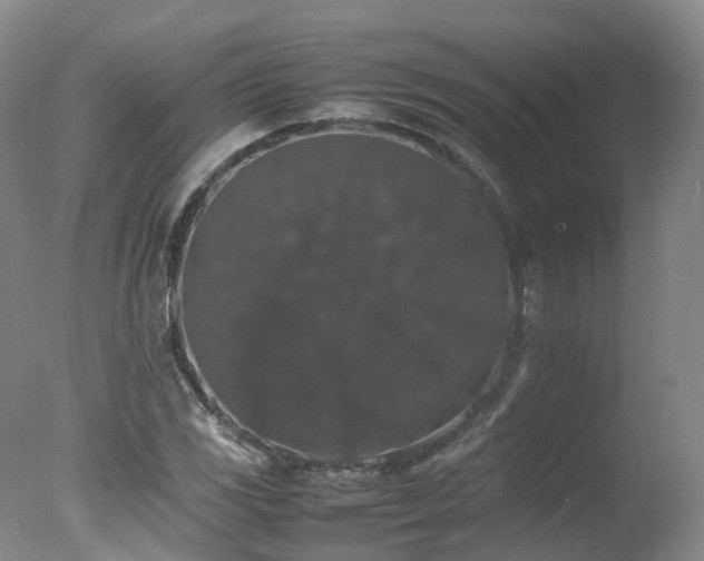 X0000078021117200610271227