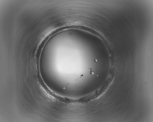 X0000078021118200610271227