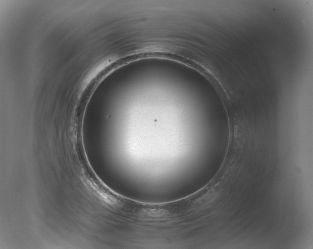 X0000078021119200610271227