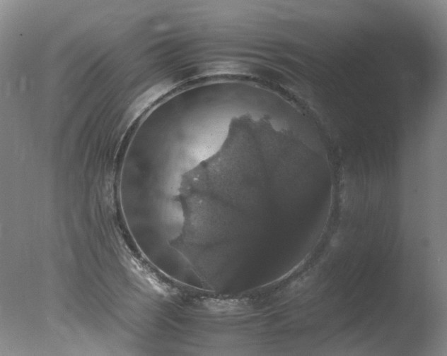 X0000078021121200610271227