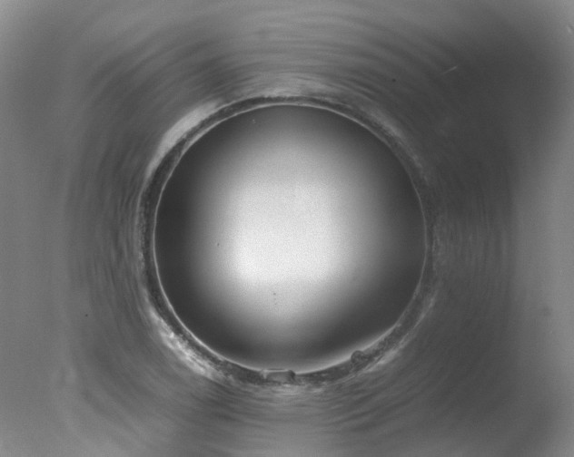 X0000078021122200610271227