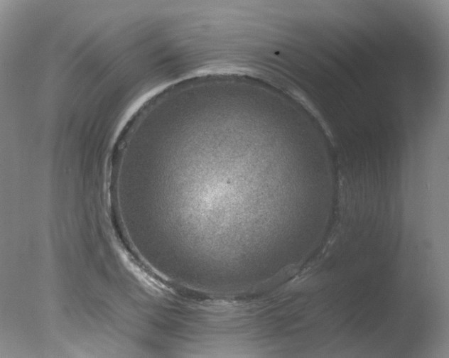 X0000078021124200610271227