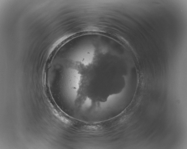 X0000078021125200610271227