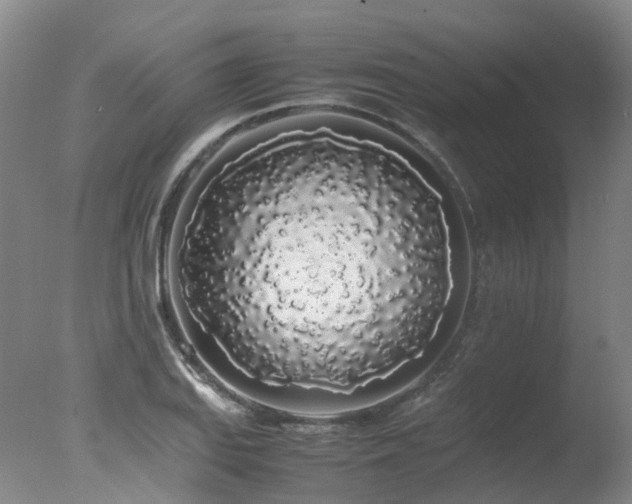 X0000078021127200610271227