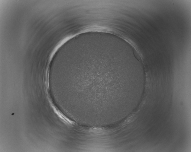 X0000078021128200610271227