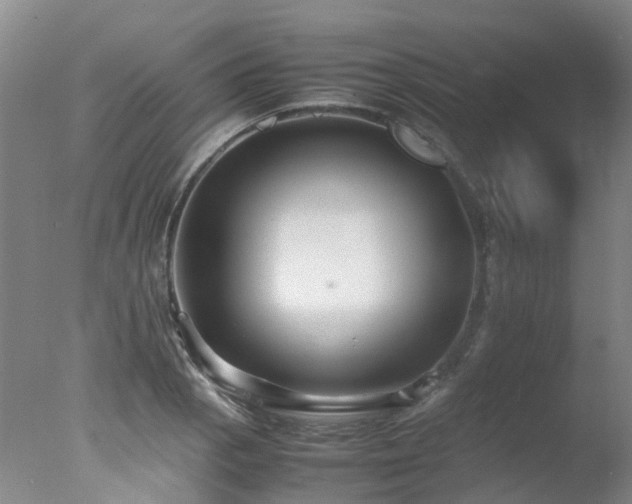 X0000078021129200610271227