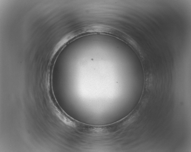 X0000078021130200610271227