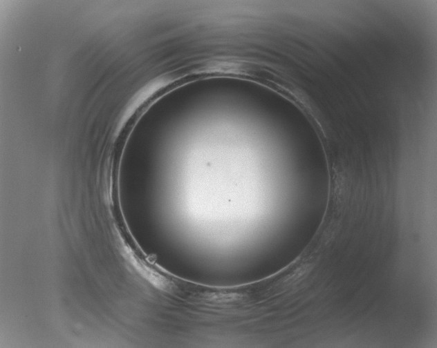 X0000078021131200610271227