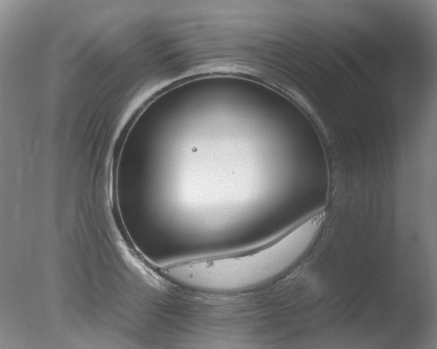 X0000078021132200610271227