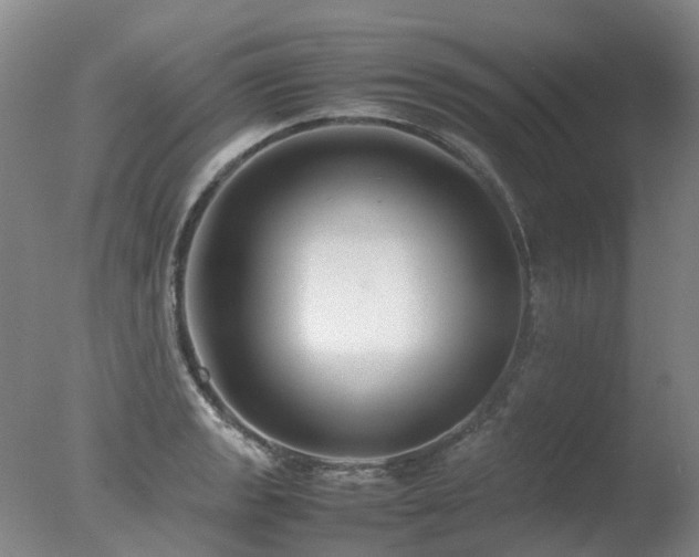 X0000078021133200610271227