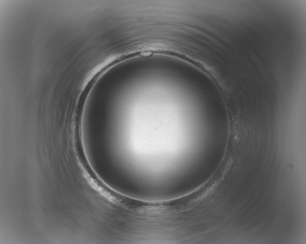 X0000078021134200610271227