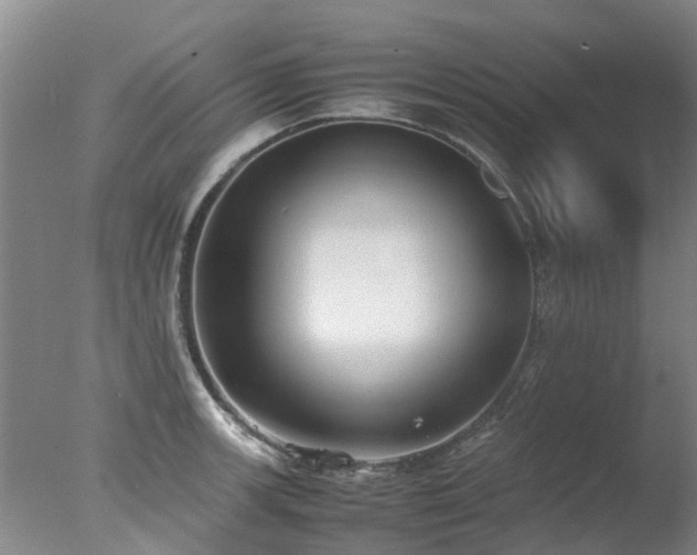 X0000078021139200610271227