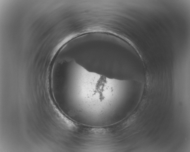 X0000078021142200610271227