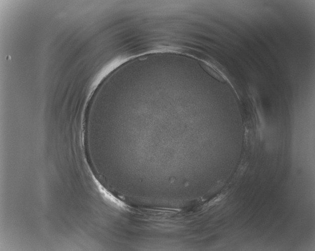 X0000078021143200610271227