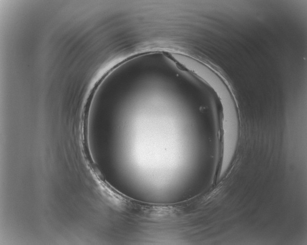 X0000078021144200610271227