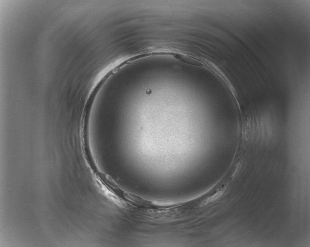 X0000078021149200610271227