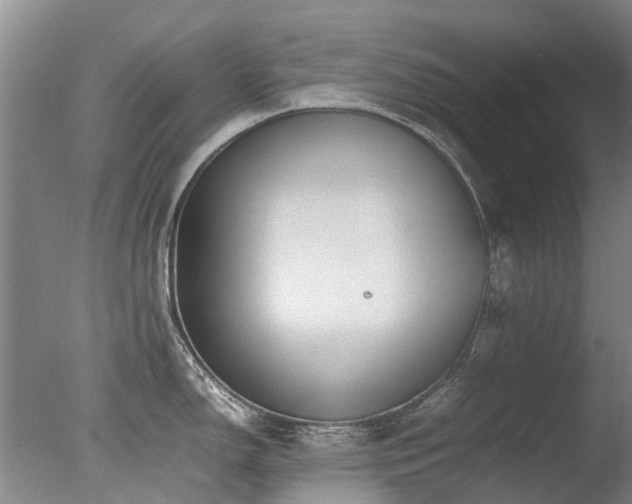 X0000078021150200610271227