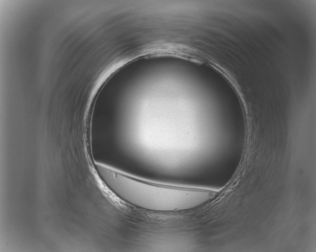 X0000078021152200610271227