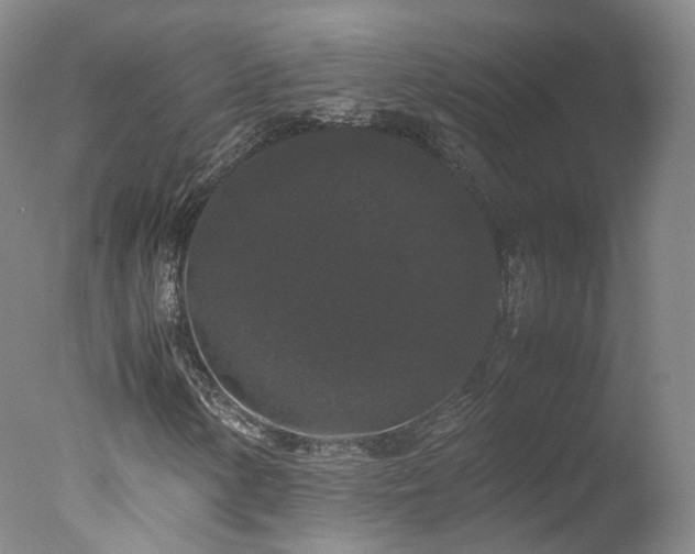 X0000078021154200610271226