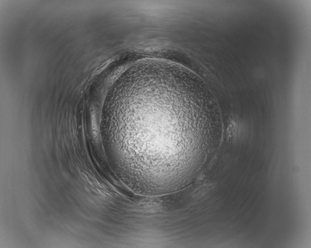 X0000078021156200610271226
