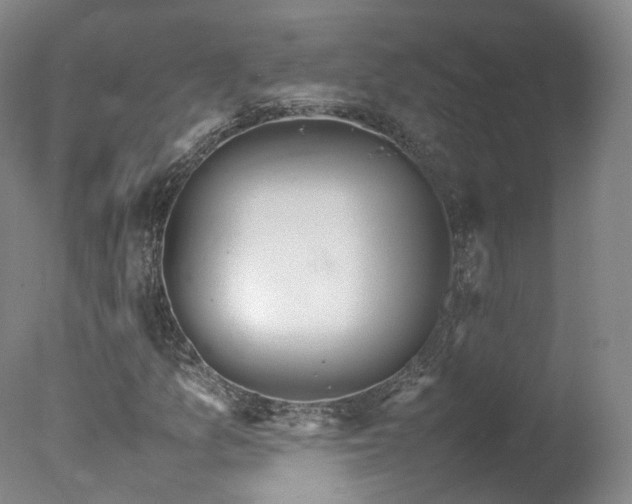 X0000078021157200610271226