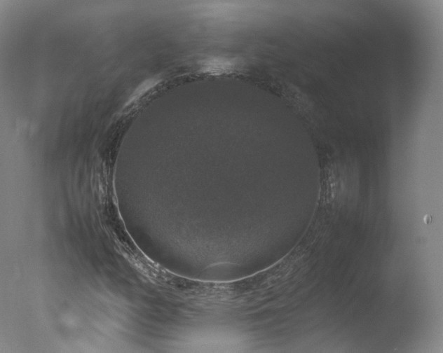 X0000078021158200610271226