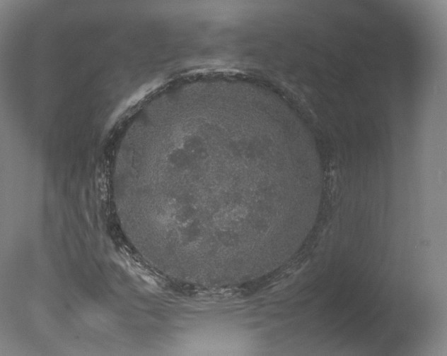 X0000078021159200610271226