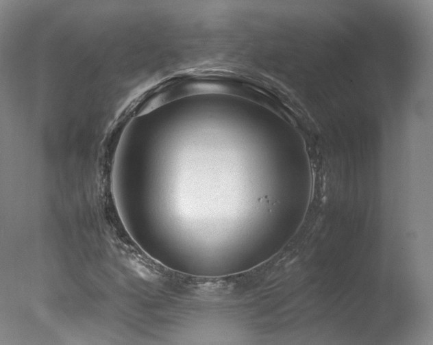 X0000078021160200610271226