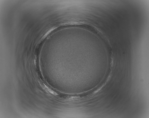 X0000078021161200610271226