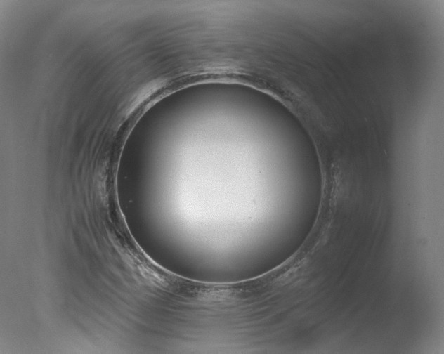 X0000078021162200610271226