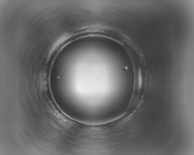 X0000078021164200610271226