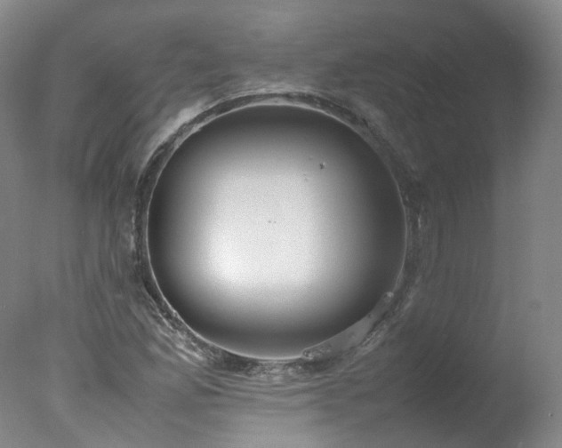 X0000078021165200610271226