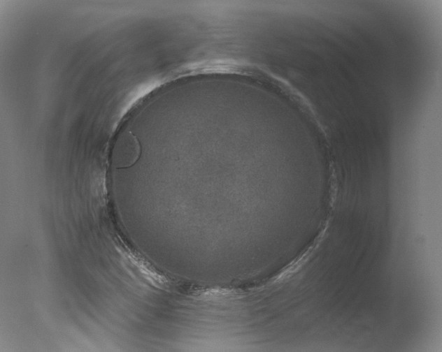 X0000078021166200610271226